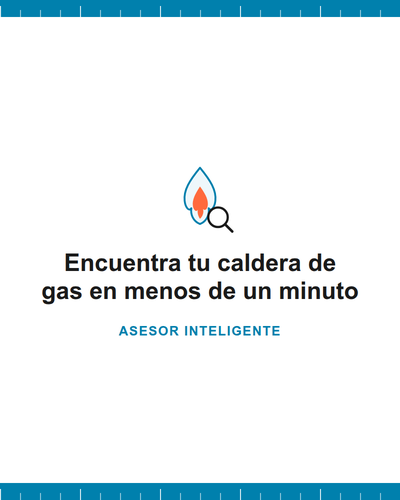 Selector de calderas de gas por potencia y características