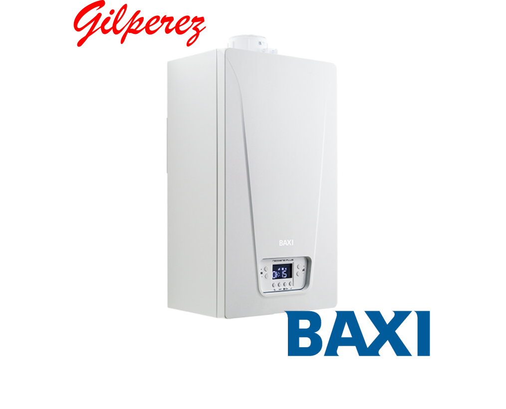 Caldera Baxi Neodens iPlus 24/24F vista 1
