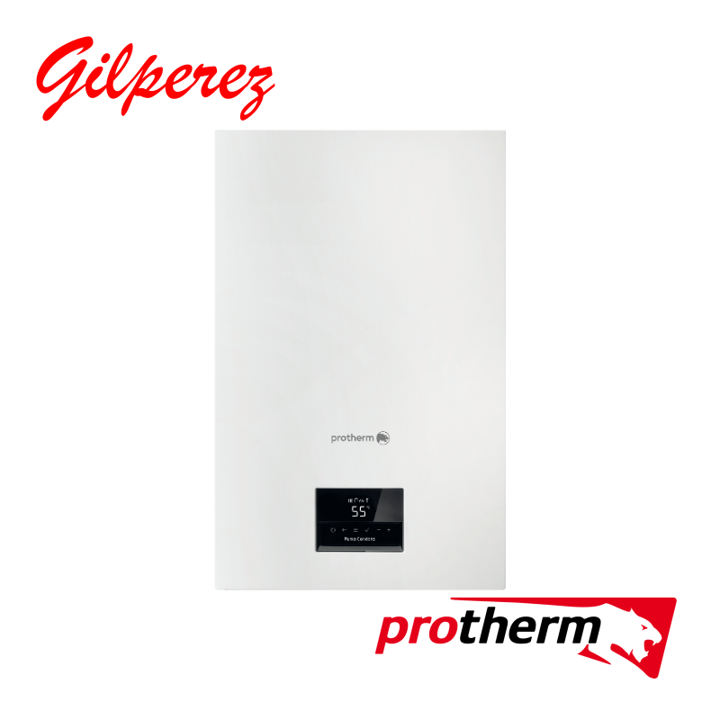 Caldera Protherm PUMA vista 1